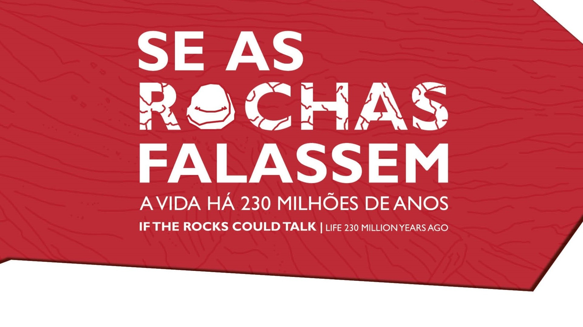 Exposição 